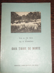 OAIA TIGAIE DE MUNTE - TH. NICA, B. DERMENGI foto