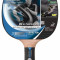 Paleta tenis de masa Attack New Waldner 700 include DVD