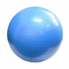 Minge fitness Super ball 55 cm Blue foto