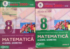 MATE 2000 MATEMATICA ALGEBRA, GEOMETRIE CLASA 8 (2 volume) foto