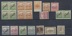 RFL ROMANIA 1919 supratipar ocupatia franceza in Arad lot 21 timbre foto