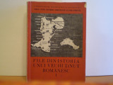 FILE DIN ISTORIA UNUI VECHI TINUT ROMANESC 1 - DOBROGEA - 239 PAG.