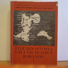 FILE DIN ISTORIA UNUI VECHI TINUT ROMANESC 1 - DOBROGEA - 239 PAG.