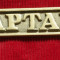 Placa de usa din bronz - Captain / ( Capitan) !!!!!
