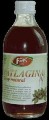 Sirop Patlagina 250ML FARES foto