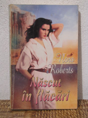 NASCUT IN FLACARI -NORA ROBERTS foto