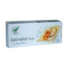 GASTROPHYT FORTE 30CPS-Helicobacter pylori foto