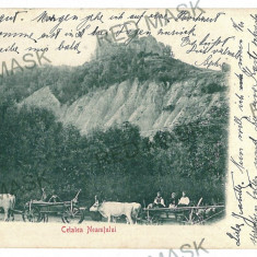 1744 - Cetatea NEAMTULUI, Neamt, ox carts, Litho - old postcard - used - 1902