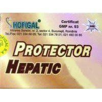 PROTECTOR HEPATIC (INLOCUITOR CAFEA) 24pl x5g HOFIGAL foto