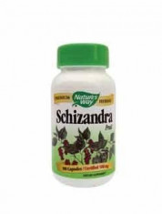 SCHIZANDRA FRUIT 100CPS - PROTECTOR HEPATIC foto