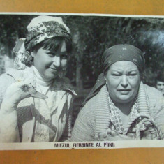 Draga Olteanu Matei Rodica Popescu Bitanescu Miezul fierbinte al painii 1983