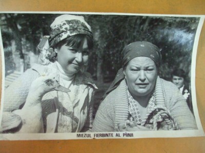 Draga Olteanu Matei Rodica Popescu Bitanescu Miezul fierbinte al painii 1983 foto