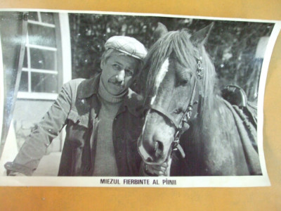 Constantin Diplan cal Miezul fierbinte al painii 1983 Alecu Croitoru foto