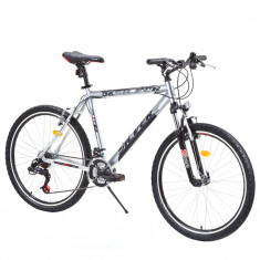 bicicleta DHS Silver foto