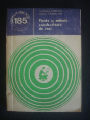 I. PETRESCU, O. DRAGASTAN - PLANTE SI ANIMALE CONSTRUCTOARE DE ROCI foto