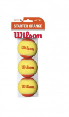 Mingi Tenis, Wilson, Starter, 3 Buc/Set Wilson foto