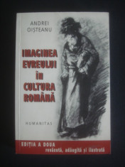 ANDREI OISTEANU - IMAGINEA EVREULUI IN CULTURA ROMANA foto