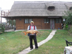 Casa de vacanta la malul Dunarii (Cabana de pescuit si vanatoare) foto