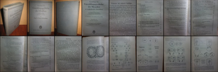 Medicina veche-Prf. Dr. R.Weissenberg-Istoricul dezvoltarii omului-1931.