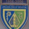 Insigna aniversara 1906-2006 Scoala de fete din Aylwin - Chile