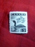 Serie Fauna - Rata 1957 Canada , 1 val., Nestampilat