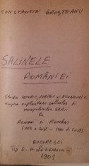 SALINELE ROMANIEI - CONSTANTIN BROSTEANU foto