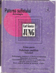 PUTEREA SUFLETULUI ANTOLOGIE, 3 VOL - CARL GUSTAV JUNG foto