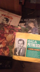 discuri-placi vinilin foto