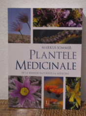 PLANTELE MEDICINALE .DE LA REMEDII NATURISTE LA MEDICINA -MARKUS SOMMER foto