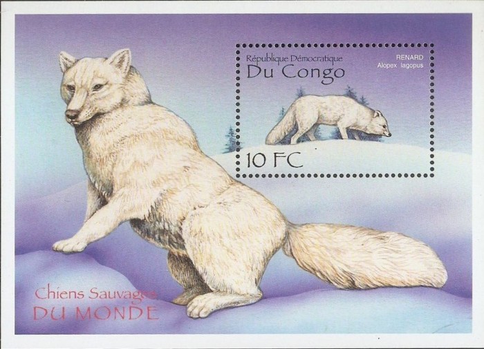 DR CONGO 2000 CAINI