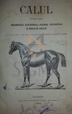 CALUL -organisatie-exterior-hygiena-potcovit si boalele calului-91 figuri-5 planse colorate - Alexandru I.V. SOCEC foto