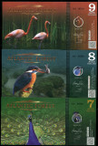 !!! ATLANTIC FOREST - LOT 7 + 8 + 9 AVES 2015 - UNC