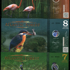 !!! ATLANTIC FOREST - LOT 7 + 8 + 9 AVES 2015 - UNC