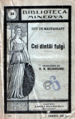 Cei dintai fulgi de Guy de Maupassant foto