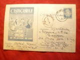 Carte Postala Loz in Plic 1960 ,desen puisor pe spate, Circulata, Printata