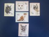TIMBRE STRAINE POLONIA, Stampilat