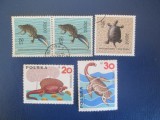 TIMBRE STRAINE POLONIA, Stampilat