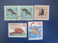 TIMBRE STRAINE POLONIA