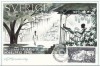 3635 - Suedia 1985 - carte maxima