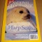 NATIONAL GEOGRAPHIC / English - March 2004