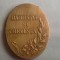 BARBATIE SI CREDINTA CAROL I 1906 BRONZ AURIE
