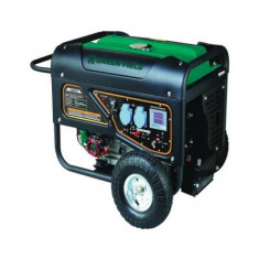 Generator de curent Green Field - LT8000_ES foto