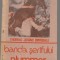 (C6588) BANDA SERIFULUI PLUMMER - THOMAS JOSIAH DIMSDALE