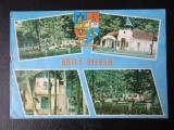 SEPT15 - Vedere/ Carte postala - Salaj - Baile Bizusa, Circulata, Printata