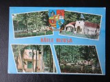 SEPT15 - Vedere/ Carte postala - Salaj - Baile Bizusa, Circulata, Printata
