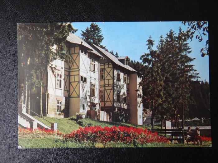 SEPT15 - Vedere/ Carte postala - Borsec