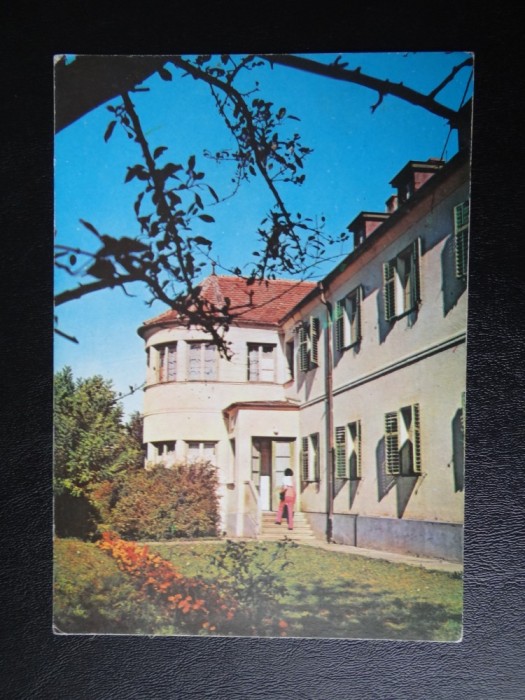 SEPT15 - Vedere/ Carte postala - Bazna