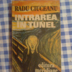 d9 Radu Ciuceanu - Intrarea in tunel