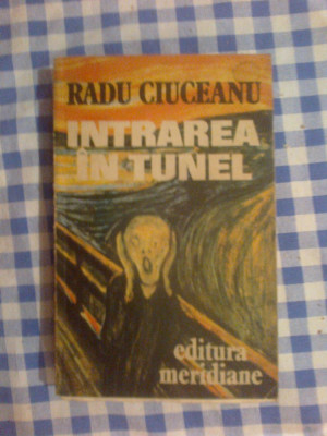 d9 Radu Ciuceanu - Intrarea in tunel foto