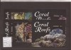 Mikronesia - 2014 Coral Reefs, Natura